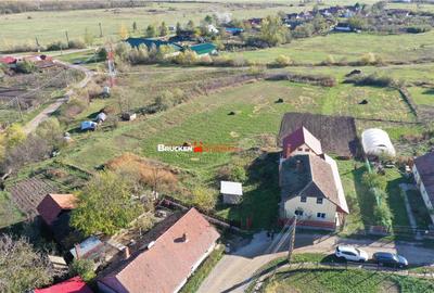 Teren de 800 mp, în Hodoș - 5