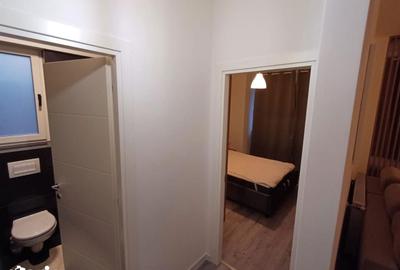 Apartament cu 2 camere în Ciurea - 10