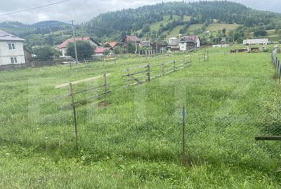 Teren intravilan de vanzare Vama, jud. SV 1500 mp - 3