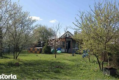 Casă cu Teren 600 Mp în Tomești - 3