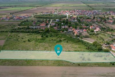 Teren extravilan Urseni, Timis - 5