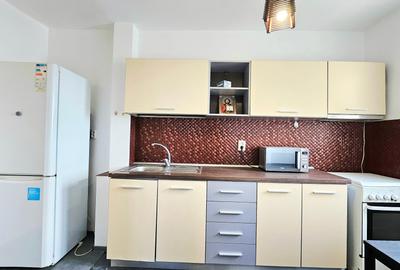 Apartament cu 3 camere decomandat, mobilat în Tineretului - 14