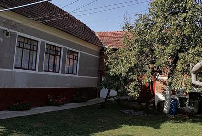 Casă cu 4 camere în Nicolae Bălcescu - 2