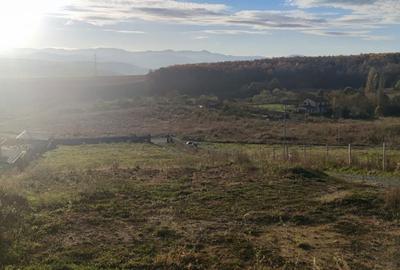 Spațiu comercial, în Ciurila - 5