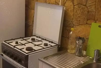 Vand casa cu 2 camere, bucatarie si baie - 5