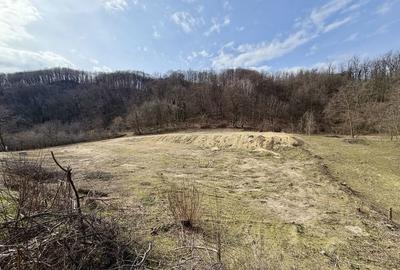 Spațiu comercial, în Păușești - 6