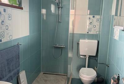 Moara Vlasiei, Particular, unica in zona, vila cu 9 camere, 7 bai, 2 garaje - 9