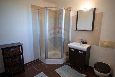 Casa / Vila de Vanzare - 16