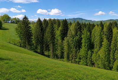 Teren Construcții intravilan de 18500 mp, în Bran - 5