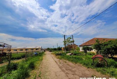 Domeniu, 9,5 ha, 25 KM de Timisoara - 16