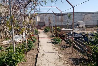 Casa noua neterminata cu teren 2.026 mp, in Lunca – Tulcea - 6