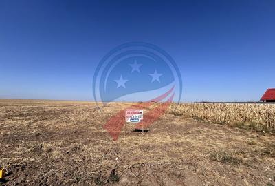 Teren intravilan de vanzare in Pielesti - 10