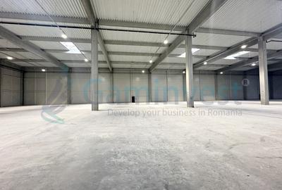 Spațiu industrial, în Biharia - 4