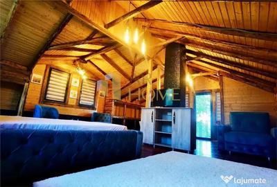 Casă cu 3 camere cu Teren 9500 Mp în Valea Călugărească - 3