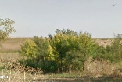 Teren de 5900 mp, în Liești - 2