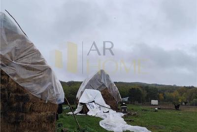 Casă cu 4 camere cu Teren 11250 Mp în Teișani - 16