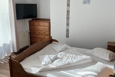 Apartament de vacanță pârtia CLĂBUCET - 11