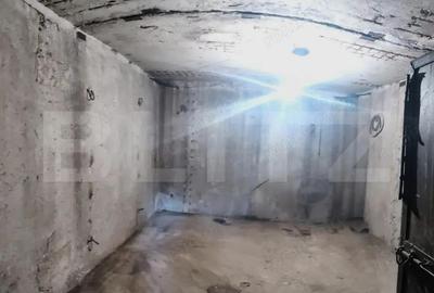 Domeniu privat, 12.500 mp teren, satul Vii?oara - Targovi?te - 2