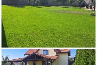 Casă cu 4 camere în Zimandcuz - 3