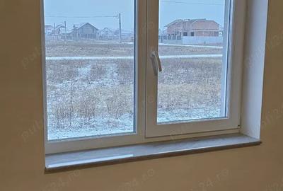 Casa de vinzare in sintandrei - 10