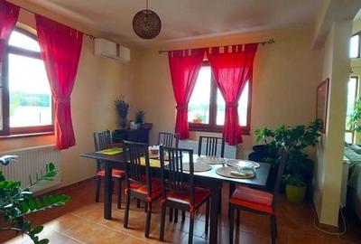 Casa de vanzare Ciofliceni | Zona linistita | 800 mp teren - 7