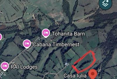 Spațiu comercial, în Drumul Carului - 13