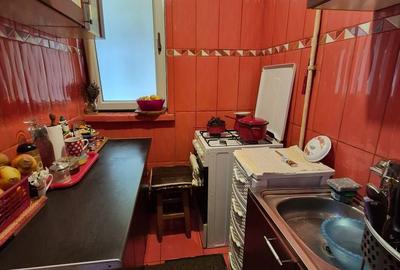 Apartament cu 2 camere semidecomandat în Valea Rosie - 3