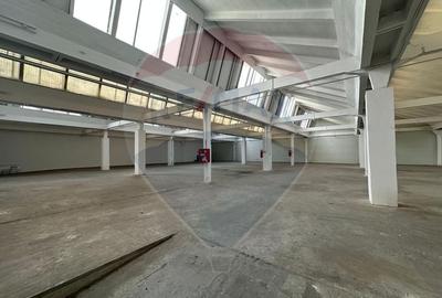 Spatii industriale premium - 13