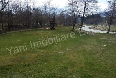 Teren de 3000 mp, în Bucșenești - 8