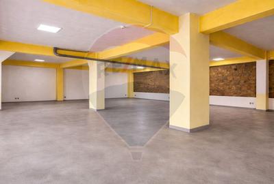 Spațiu comercial, de 400 mp, în Tătărași - 5