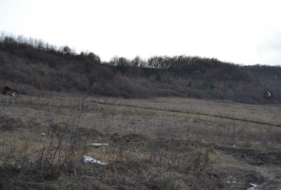 Teren Construcții intravilan de 926 mp, în Zăvoi - 2