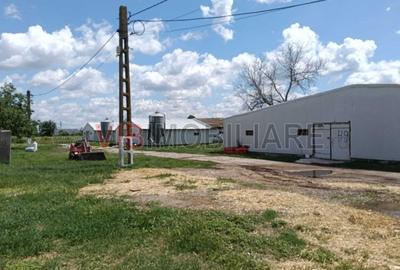 Spațiu comercial, de 10,000 mp, în Urziceni - 2