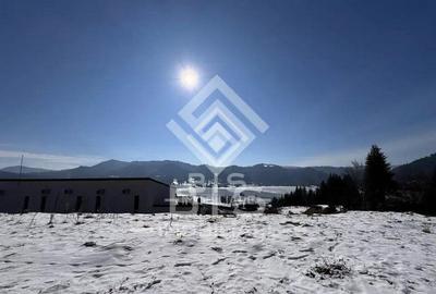 Teren de 2623 mp, în Colibița