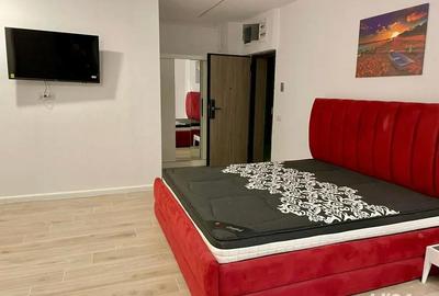 Apartament cu 2 camere decomandat în Nord - 9