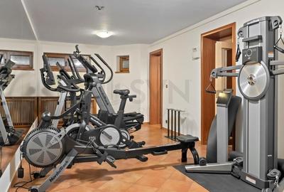 REV2005071 Vila Deosebita cu piscina Erou Iancu Nicolae - 18