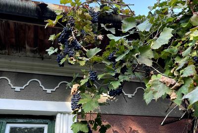 Spațiu comercial, în Gheorghieni - 1