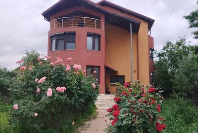 Casa S+P+1E+M loc Jilava - 2