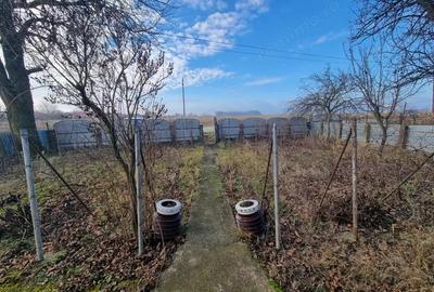 Casa + teren 2600 mp- Com. Negri- scop reziden?ial sau industrial - 5