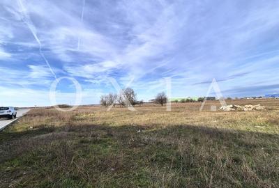 AX1027 Teren Intravilan, Zona Industriala Monlandys, Calea Sagului - 8