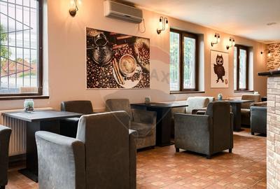 Spatiu comercial cu destinatie actuala Bar si jocuri noroc- Vlaicu - 3