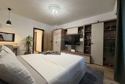 Studio cochet de inchiriat - Baba Novac - 11