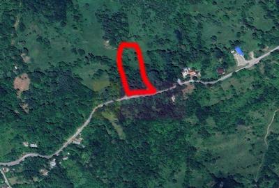 Teren intravilan de vanzare in Telega - 8