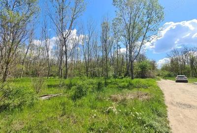 Teren de vanzare / Dem Radulescu - 5