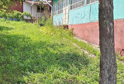 Casă cu 2 camere cu Teren 6000 Mp în Tioltiur - 8