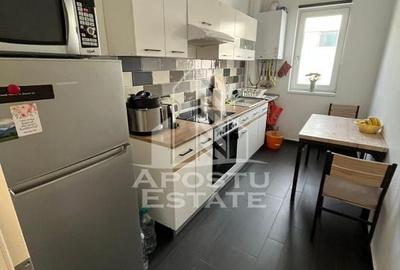Apartament cu 2 camere decomandat în Buziașului - 7