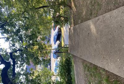 Chirie Spa?iu Comercial - 5