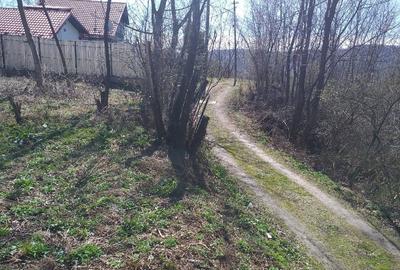 Teren Construcții intravilan de 650 mp, în Cornu de Sus (Cornu) - 7