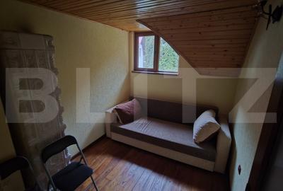 Casă cu 3 camere cu Teren 2500 Mp în Ighiu - 14