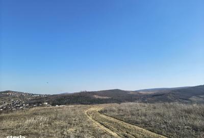 Spațiu comercial, în Tomești - 13