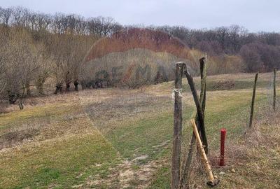 Teren 2925 mp comuna Mitocu Dragomirnei - 15